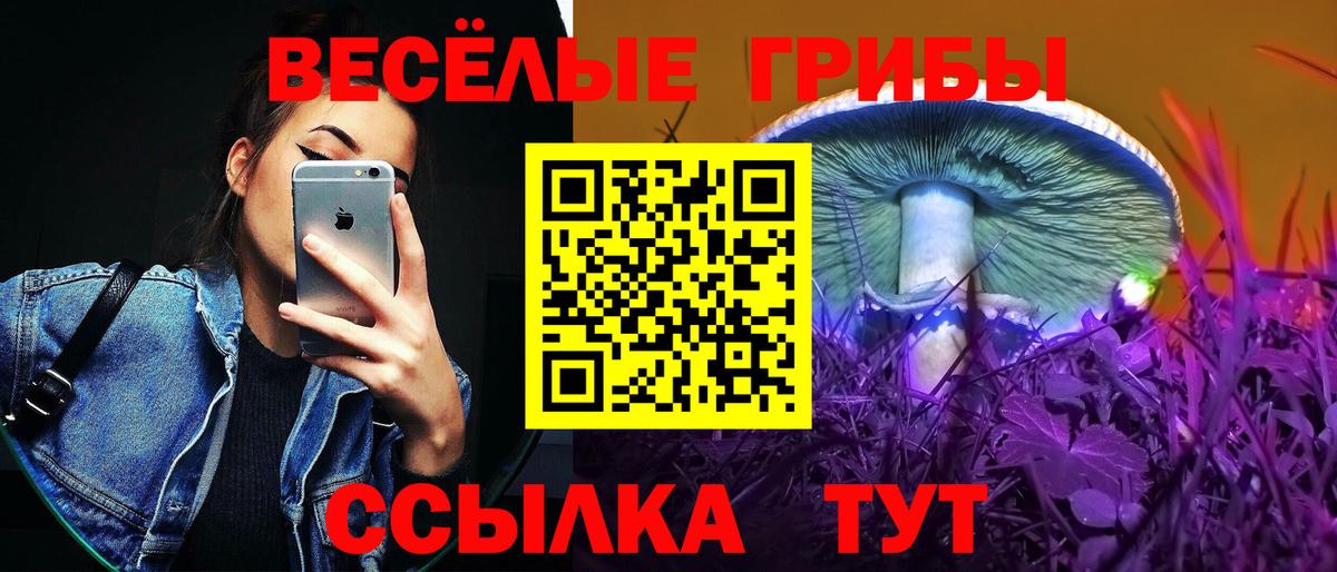 Галлюциногенные грибы GOLDEN TEACHER Карачаевск