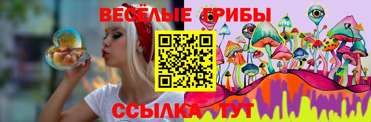 Карачаевск  Галлюциногенные грибы GOLDEN TEACHER  Вход с VPN 